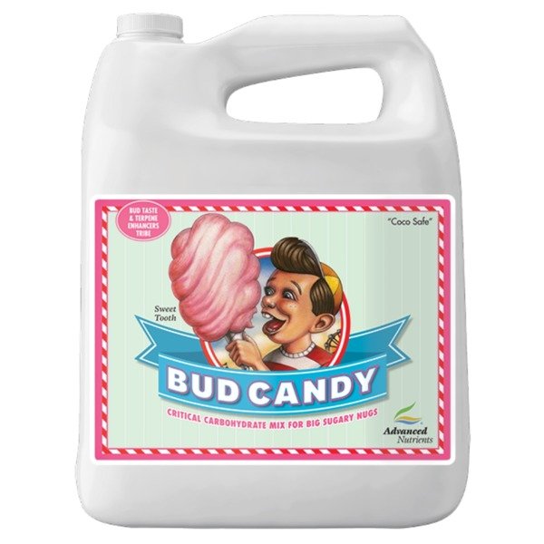 BUD CANDY 4 L