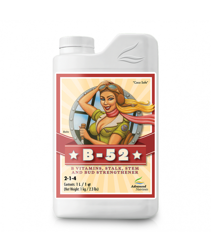 [1463] B-52 500 ML