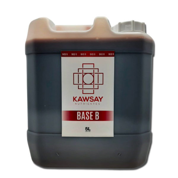 BASE B 5 LT