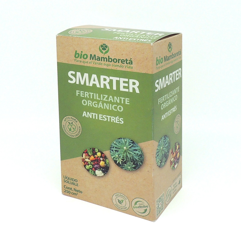 MAMBORETÁ - SMARTER 250 CC
