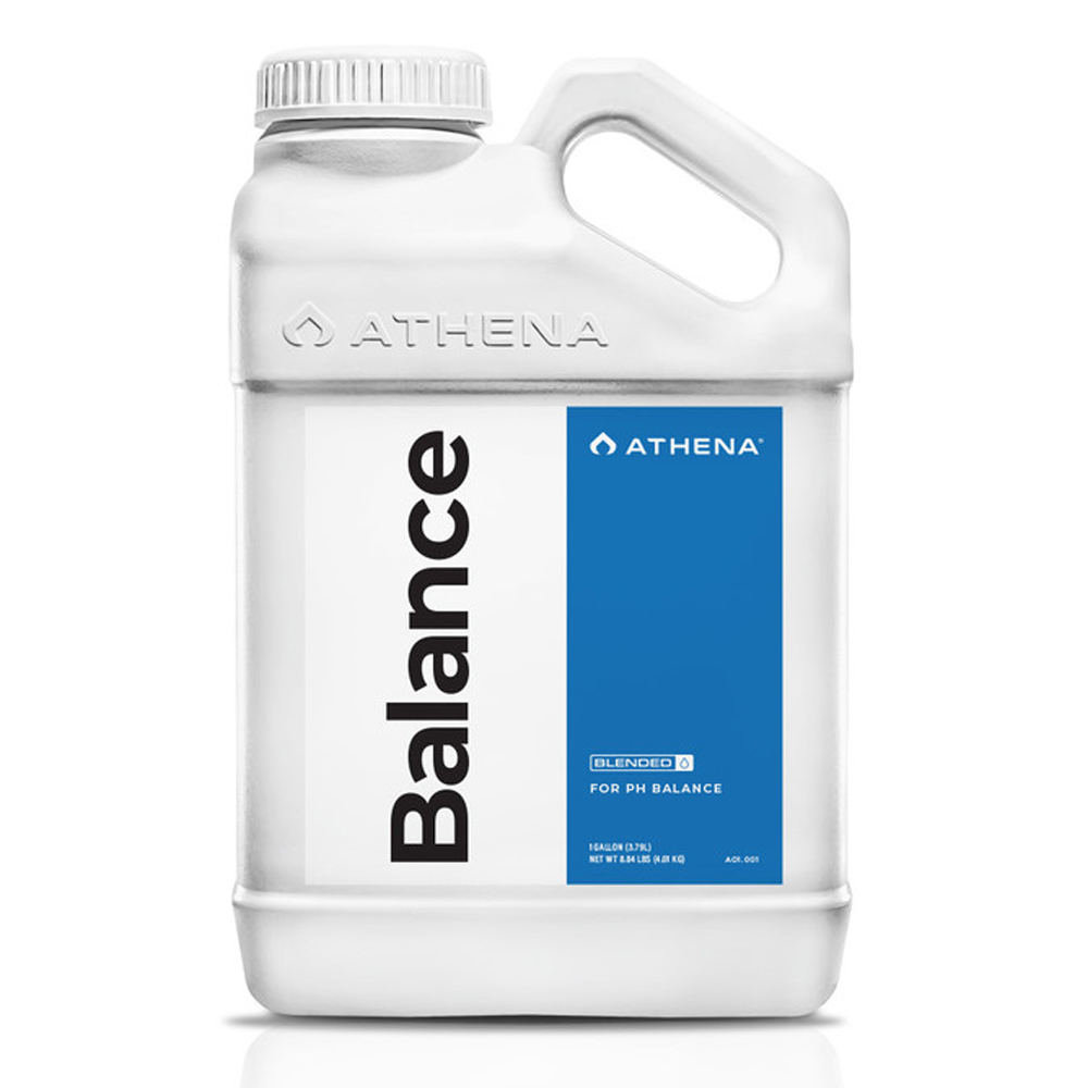 BALANCE 32 oz - 0,94 Lt