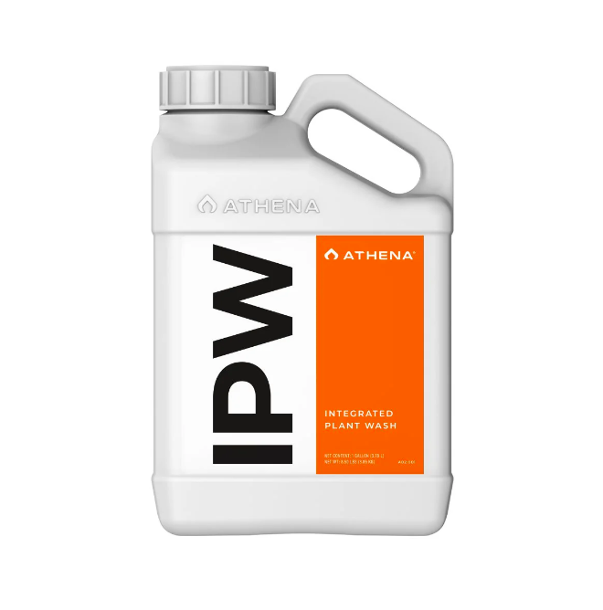 IPW 32 oz - 0.94 Lt