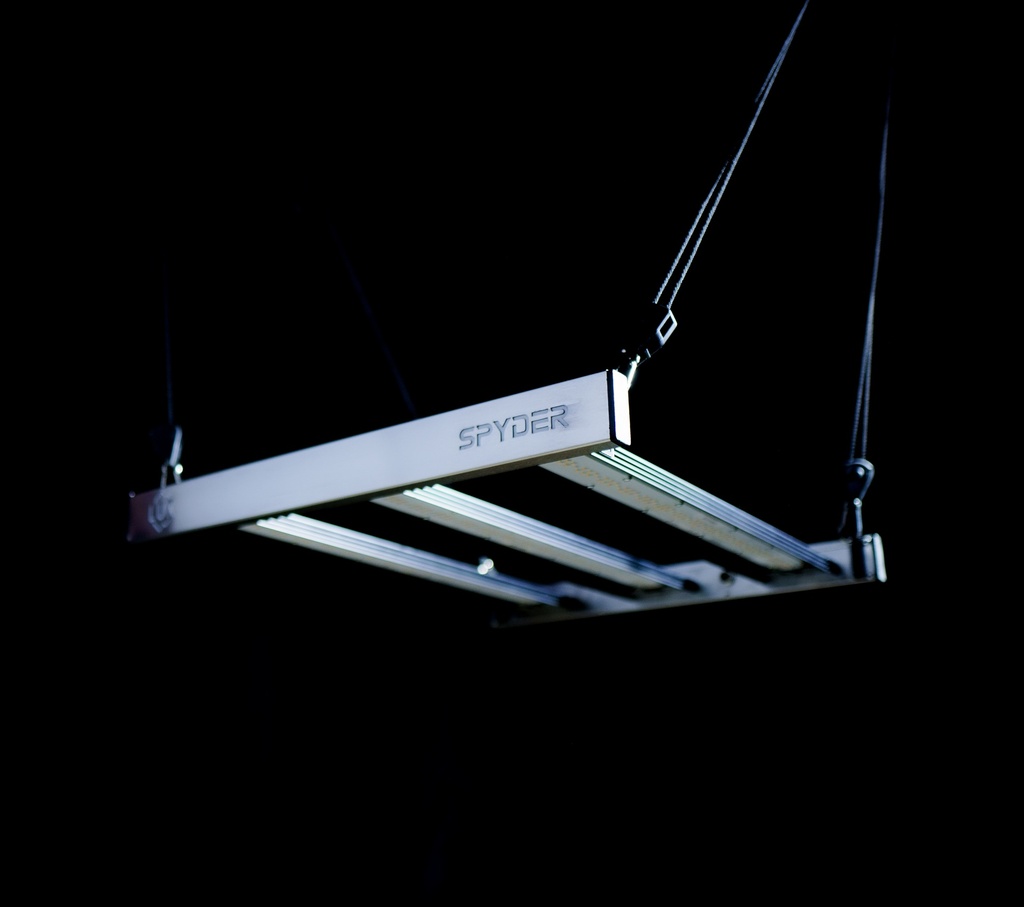 SPYDER 165W