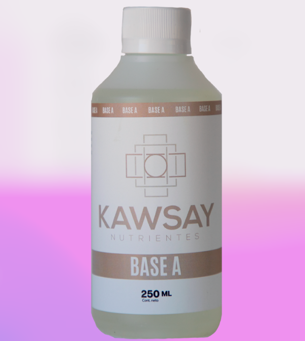 BASE A 250 ML