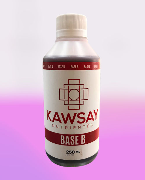 BASE B 250 ML