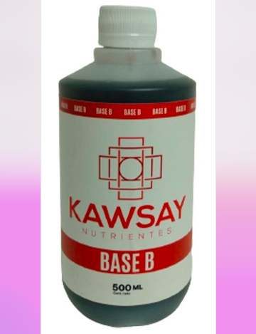 BASE B 500 ML