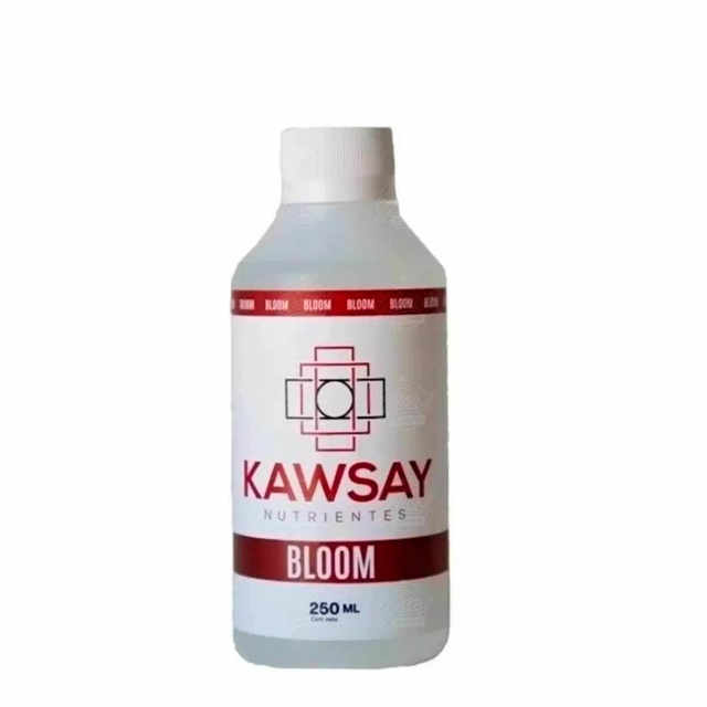 BLOOM 250 ML
