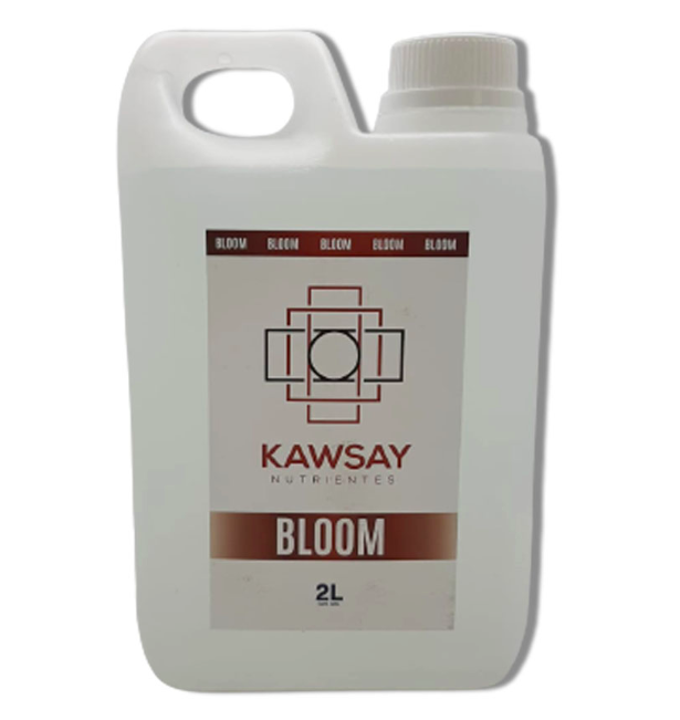 BLOOM 2 LT