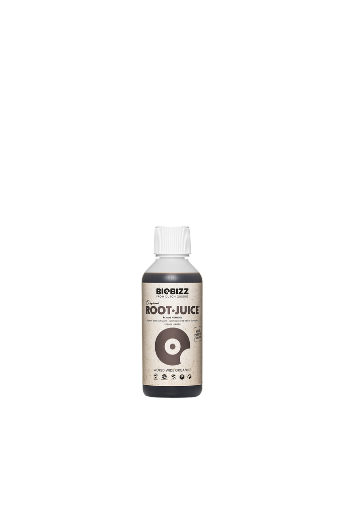 ROOT JUICE 250ML