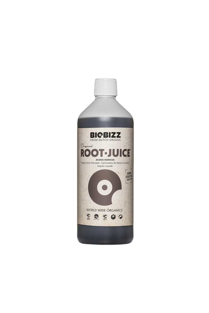 ROOT JUICE 1L