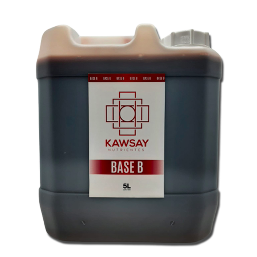 BASE B 5 LT