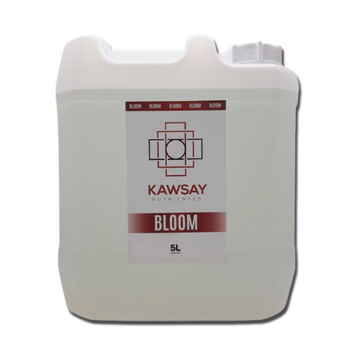 BLOOM 5 LT