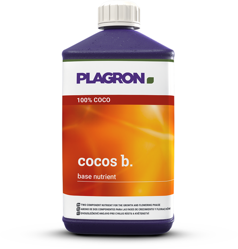 [A31242] COCOS B 1 L