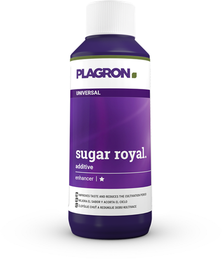 [A31122] SUGAR ROYAL 100 ml