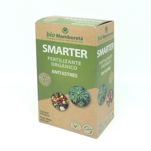 [45] MAMBORETÁ - SMARTER 250 CC