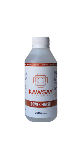 POWER FINISH 250 ML