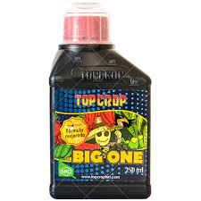 BIG ONE (ESTIMULADOR FLORA) 250ML
