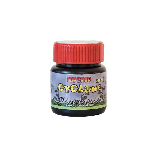 CYCLONE 50ML
