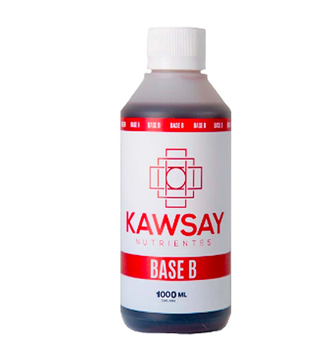 BASE B 1 LT