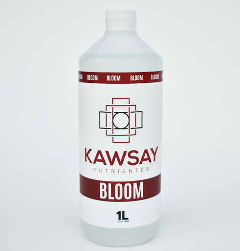 BLOOM 1 LT