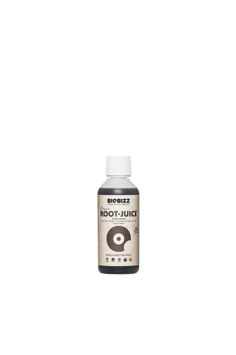 [G200284] ROOT JUICE 250ML